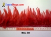 bulu ayam lancip BAL 38 - feather medium.jpg